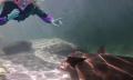 Snorkel with Stingrays and Shallow Water Experience Thumbnail 4