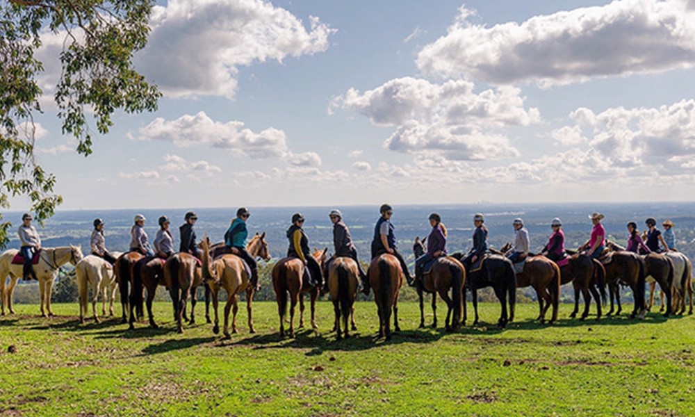 Jarrahdale Horse Trail Ride - 60 Minutes - Weekday