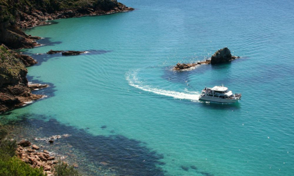 cape woolamai scenic cruise