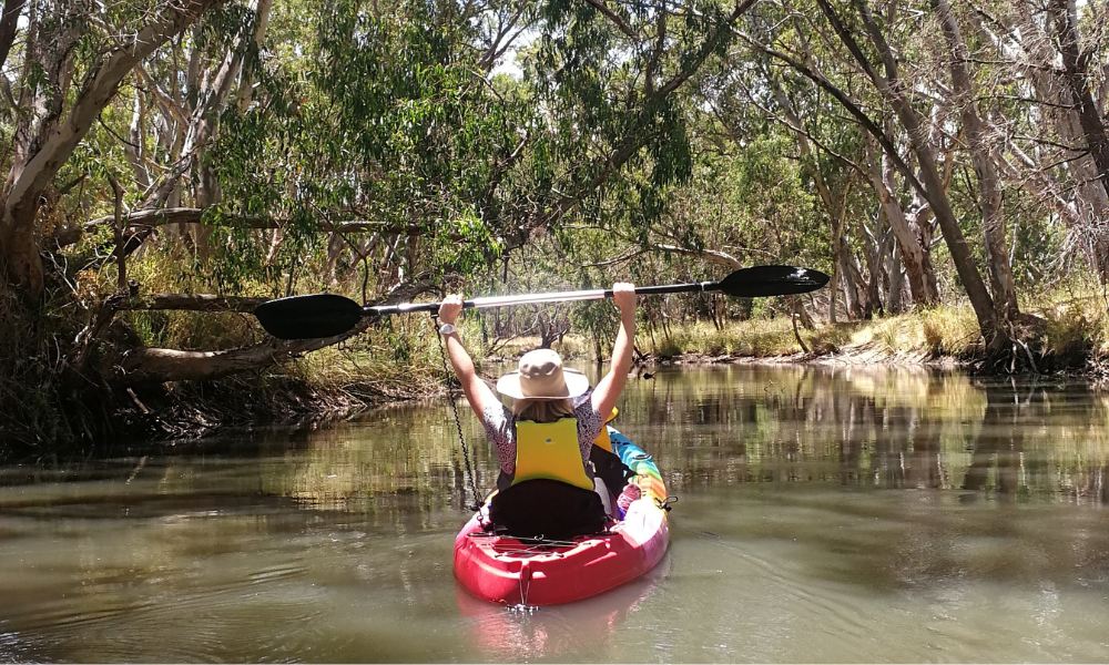 Barossa Kayak Hire and Tour - 2 Hours 