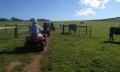 Waitpinga Farm Scenic ATV Quad Bike Tour - 60 Minutes Thumbnail 3
