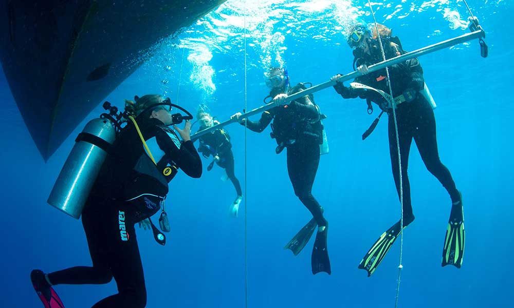 4 Day PADI Open Water Course