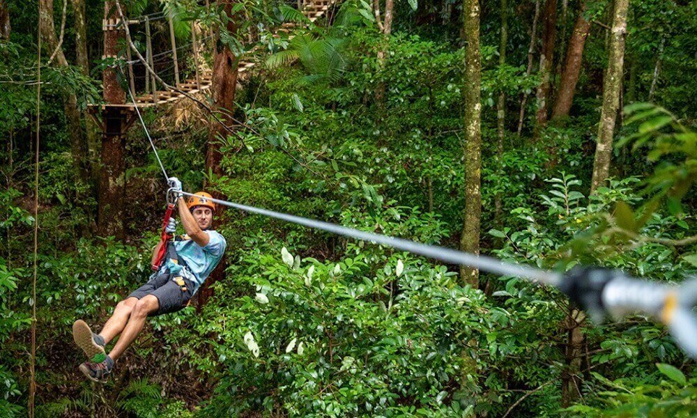 Cape Tribulation Zipline Canopy Tour  2 Hours | Experience Oz