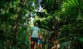 Daintree Rainforest Tour with Ziplining Adventure Thumbnail 1