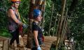 Daintree Rainforest Tour with Ziplining Adventure Thumbnail 3