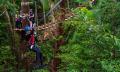 Daintree Rainforest Tour with Ziplining Adventure Thumbnail 4