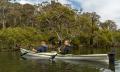 Bermagui River Guided Kayak Tour - 3 Hours Thumbnail 4