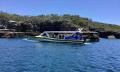 Whale Watching Cruise from Shell Cove - 90 Minutes Thumbnail 4
