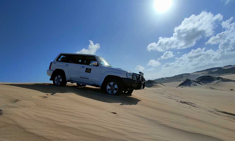 Port Lincoln National Park 4WD Tour - 4 Hours