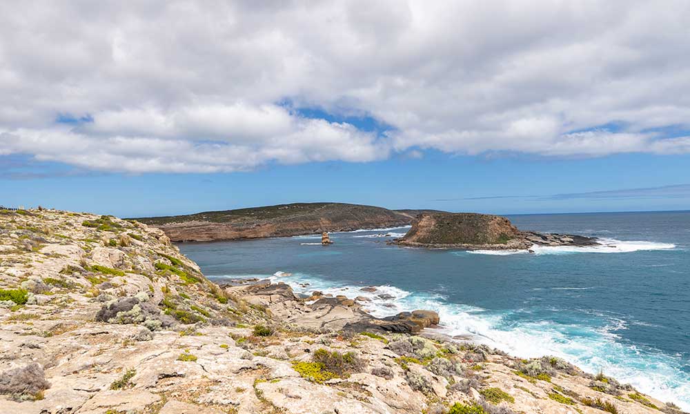 Port Lincoln Wildlife, Sightseeing and 4WD Tour with Lunch
