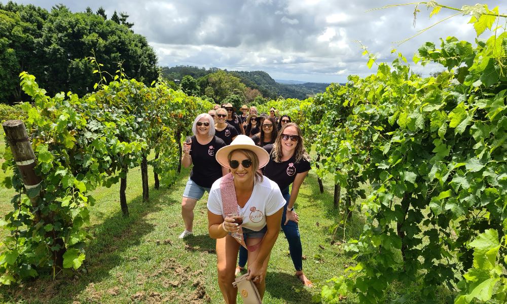 Sunshine Coast Hinterland Cheese and Wine Tour with Lunch