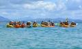 Byron Bay Sea Kayak with Dolphins and Turtles Thumbnail 1