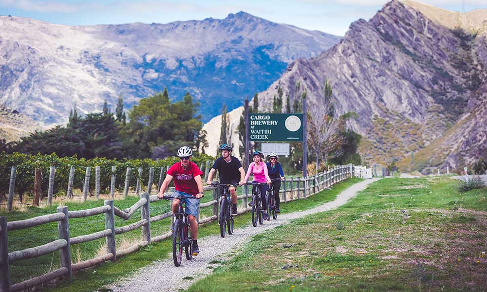 Queenstown Wineries Self Guided Full Day Bike Tour 