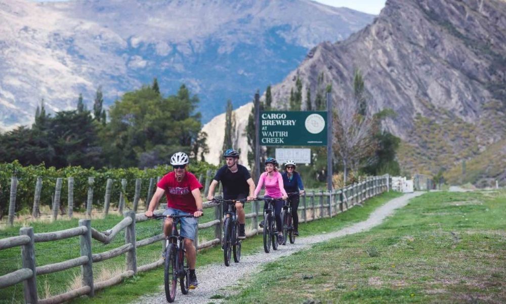 Queenstown Wineries Self Guided Half Day Bike Tour 