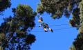 Auckland High Ropes and Ziplining Adventure - 3 Hours Thumbnail 4