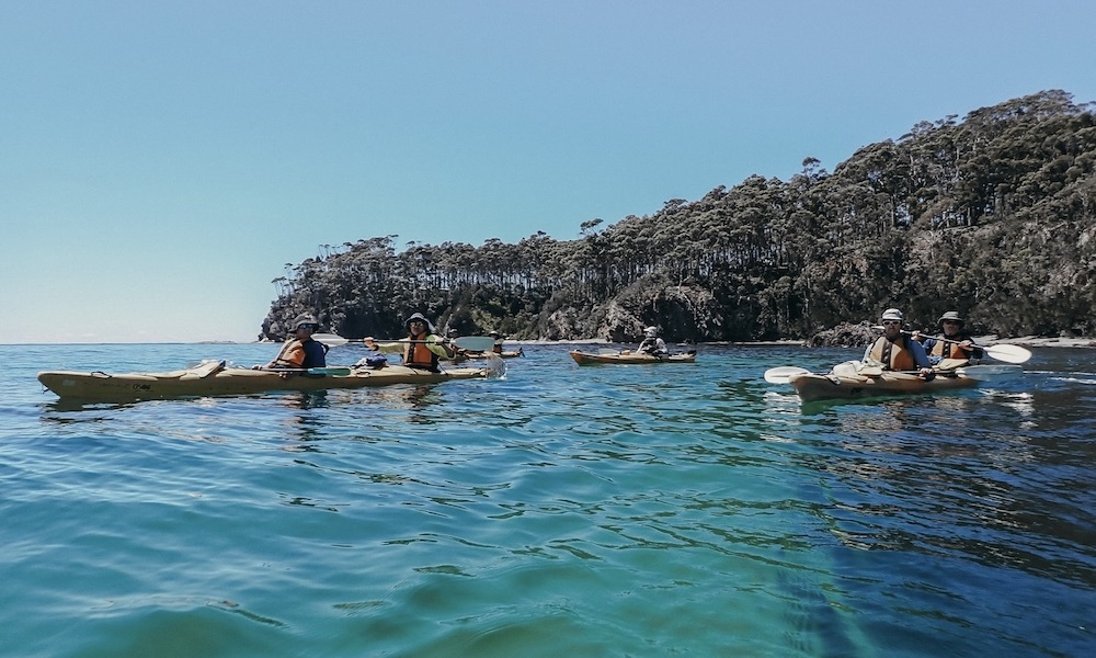 Batemans Bay Kayak & Snorkel Tour - 3 Hours