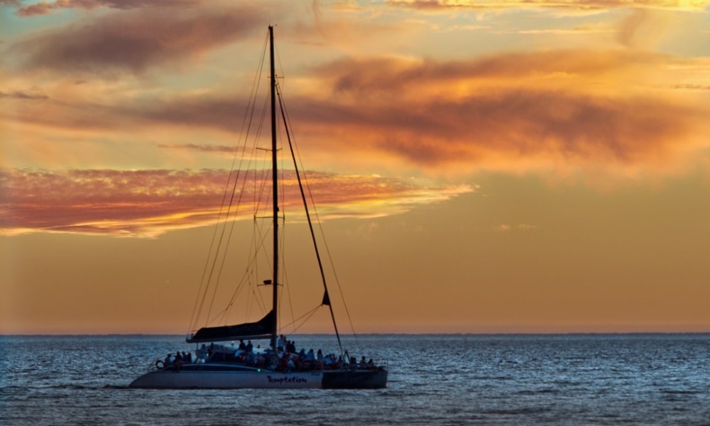 Glenelg Twilight Catamaran Cruise with Beverage   1.5 Hours | Experience Oz