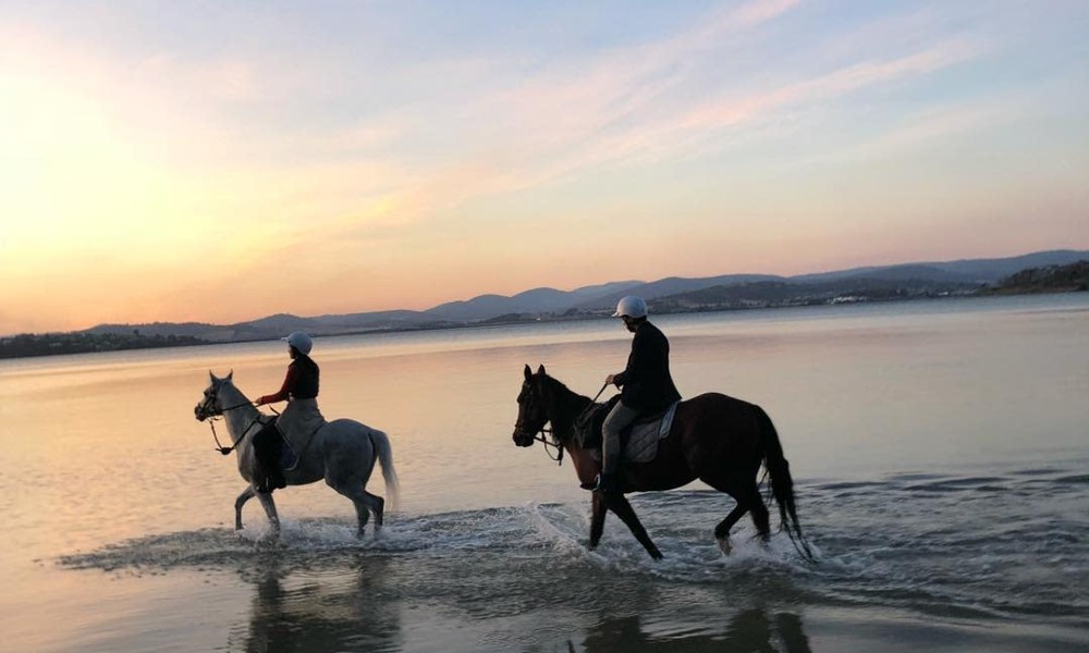 Guided Horse Ride on 7 Mile Beach in Cambridge - 2 Hours