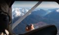 Milford Sound Scenic Flyover From Queenstown - 80 Minutes Thumbnail 3