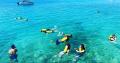 Broadwater Dolphin Kayaking &amp; Snorkeling Tour Thumbnail 4