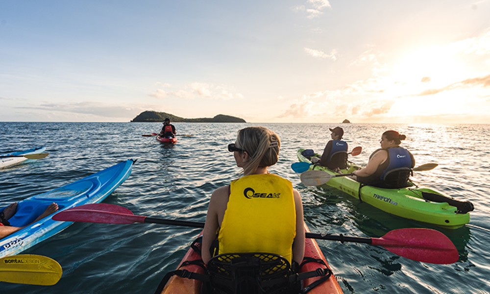 Half Day Kayak Turtle Tour From Palm Cove