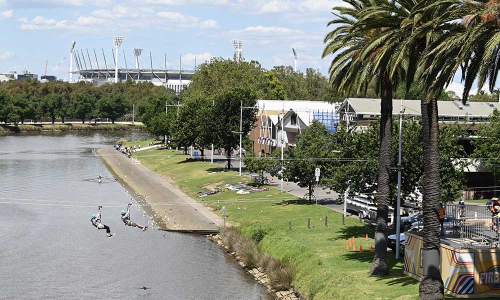 Firefly Zipline Experience - Melbourne