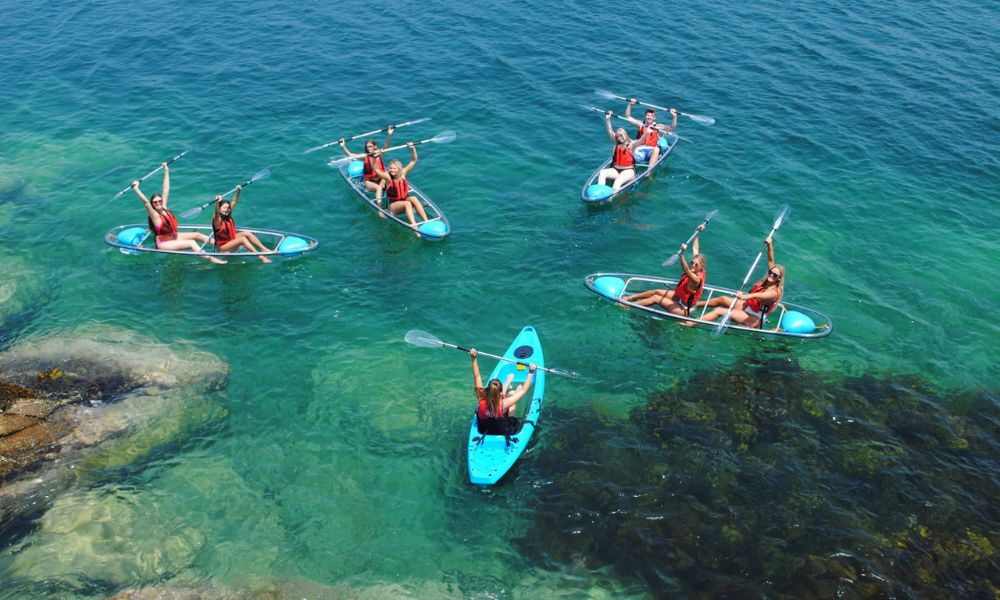 Manly Guided Clearview Kayak Tour with Snacks and Drinks