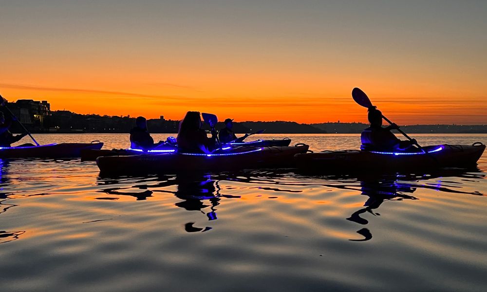 Sunset Kayaking Session on Sydney Harbour