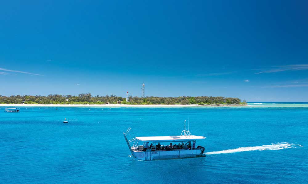 lady elliot island tours from 1770