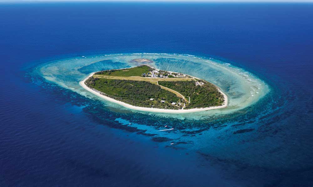 lady elliot island tours from 1770