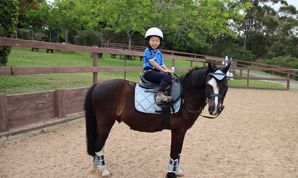 Pony Rides for Preschoolers - 15 Minutes