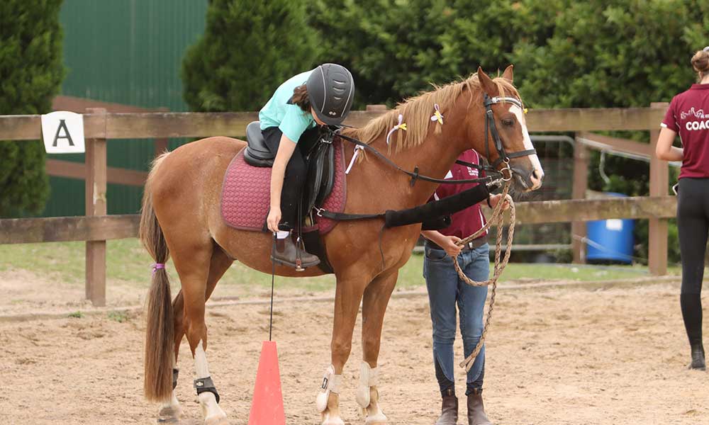 Half Day School Holiday Horse Riding Camps