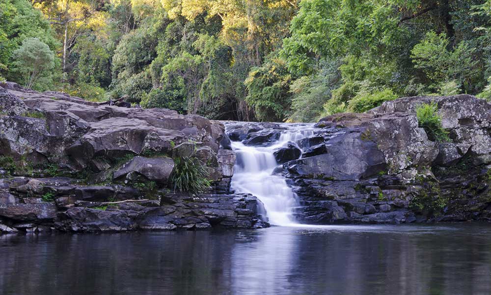 Full Day Sunshine Coast Hinterland Country Drive Private Tour
