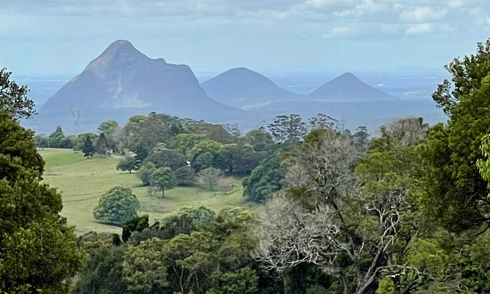 Full Day Sunshine Coast Hinterland Country Drive Private Tour
