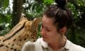 African Serval Cats Encounter at Mogo Wildlife Park Thumbnail 2