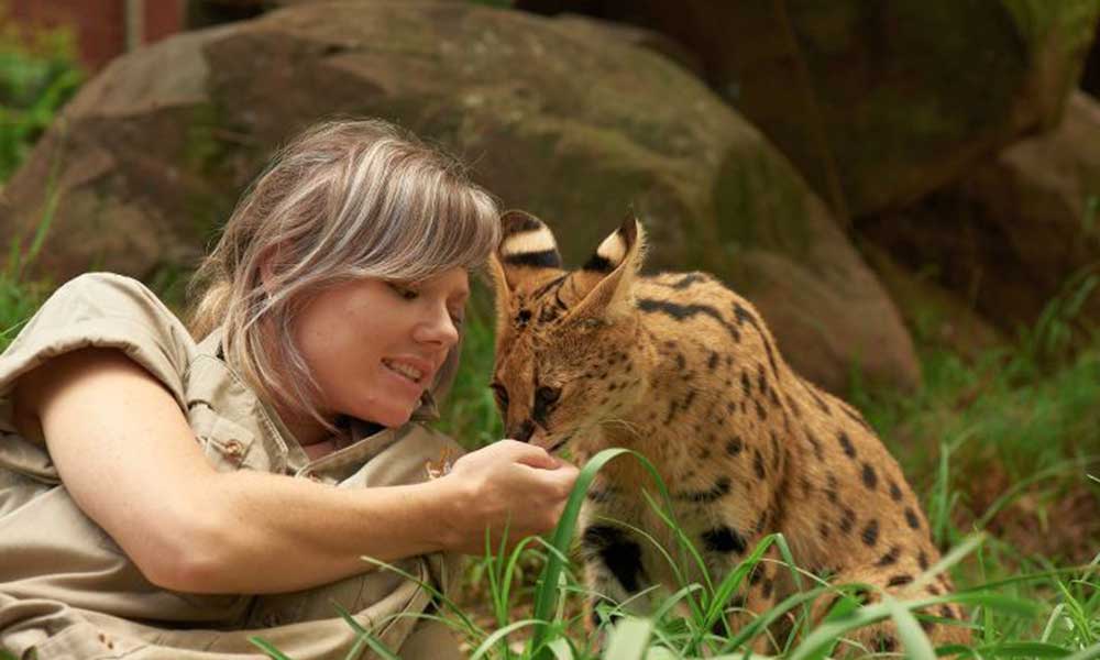 African Servals Cat Encounter at Mogo Wildlife Park Experience Oz
