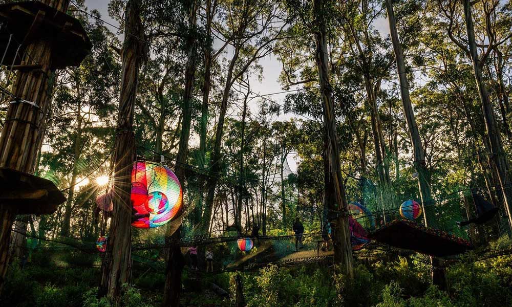 WildNets Adventure Park Tickets