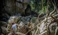 Capricorn Cave Explorer Tour - 90 Minutes Thumbnail 3