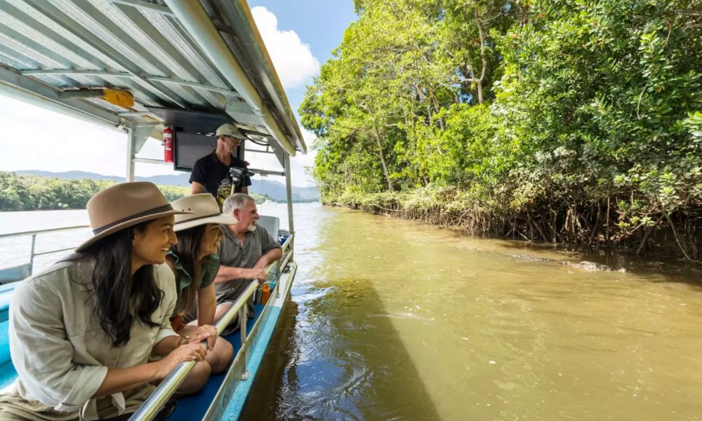 Cairns Cultural Day Tour with Daintree River Cruise and Lunch