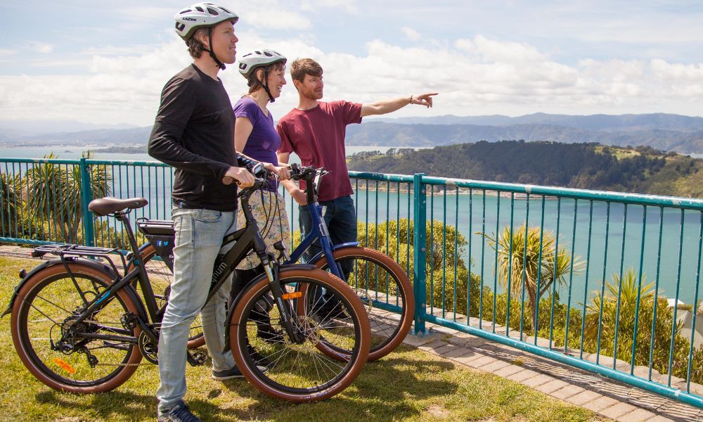 Electric Bays Tour - Guided Wellington Electric Bike Tour