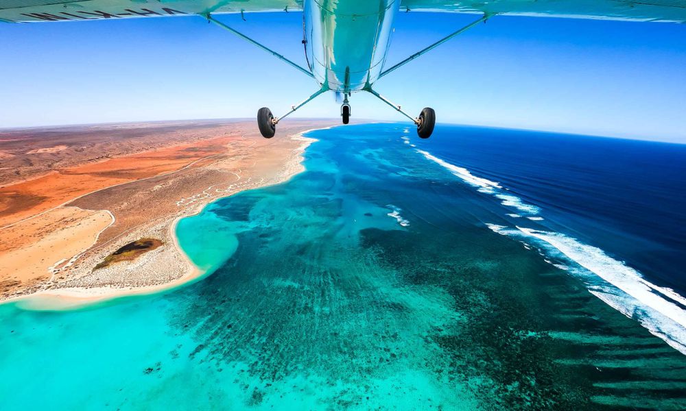 Ningaloo Reef Private Scenic Flight   60 Minutes   For 3 | Experience Oz