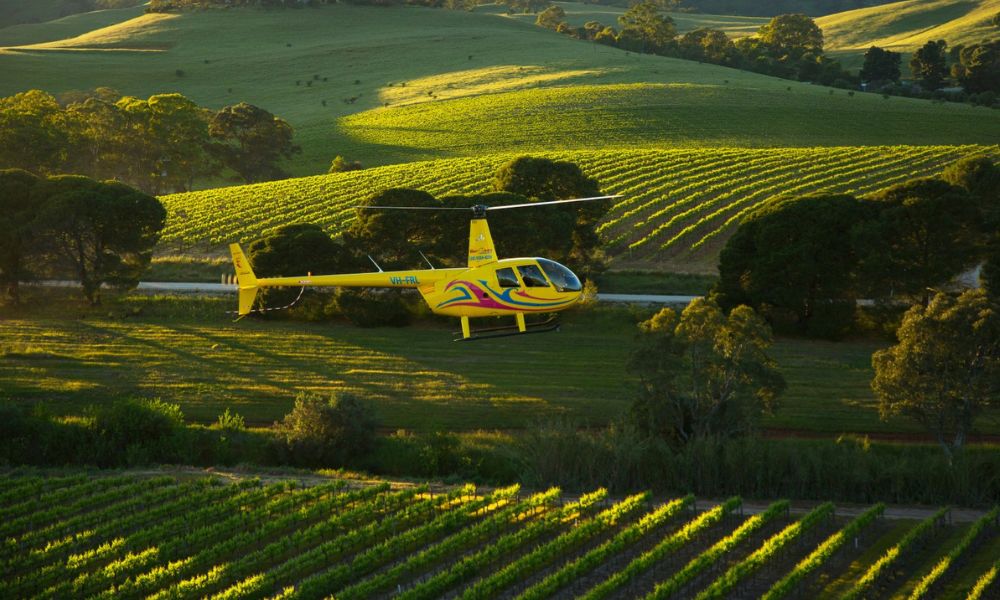 Barossa Valley Wine Tour with Lunch and Helicopter Flight