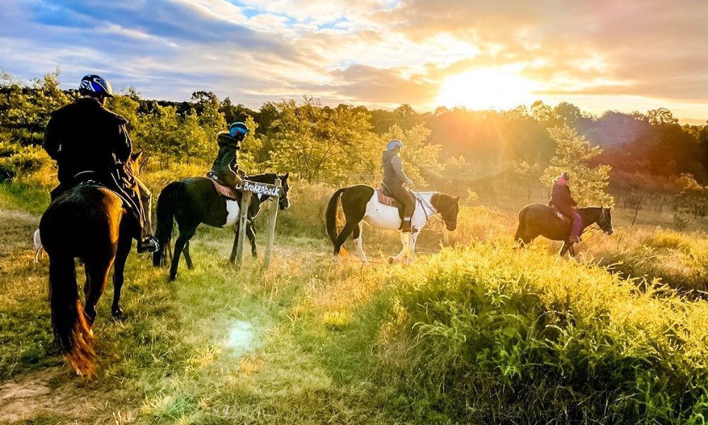 Hunter Valley Bushland Trail Horse Ride - 1 Hour