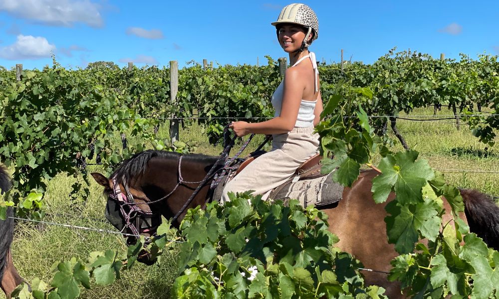 Horseback Vineyard Trail Ride  90 Minutes | Experience Oz