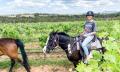 Horseback Vineyard Trail Ride - 90 Minutes Thumbnail 3
