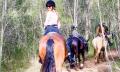 Horseback Vineyard Trail Ride - 90 Minutes Thumbnail 6