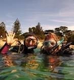 Melbourne Diving
