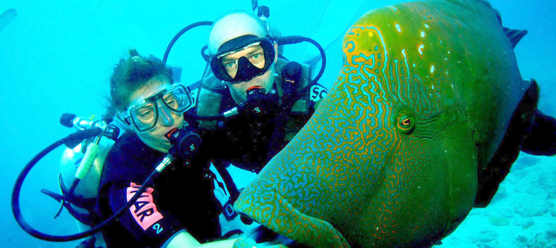 Skuba Diving Mornington Peninsula
