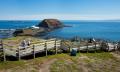 Phillip Island Express Tour From Melbourne  Thumbnail 1