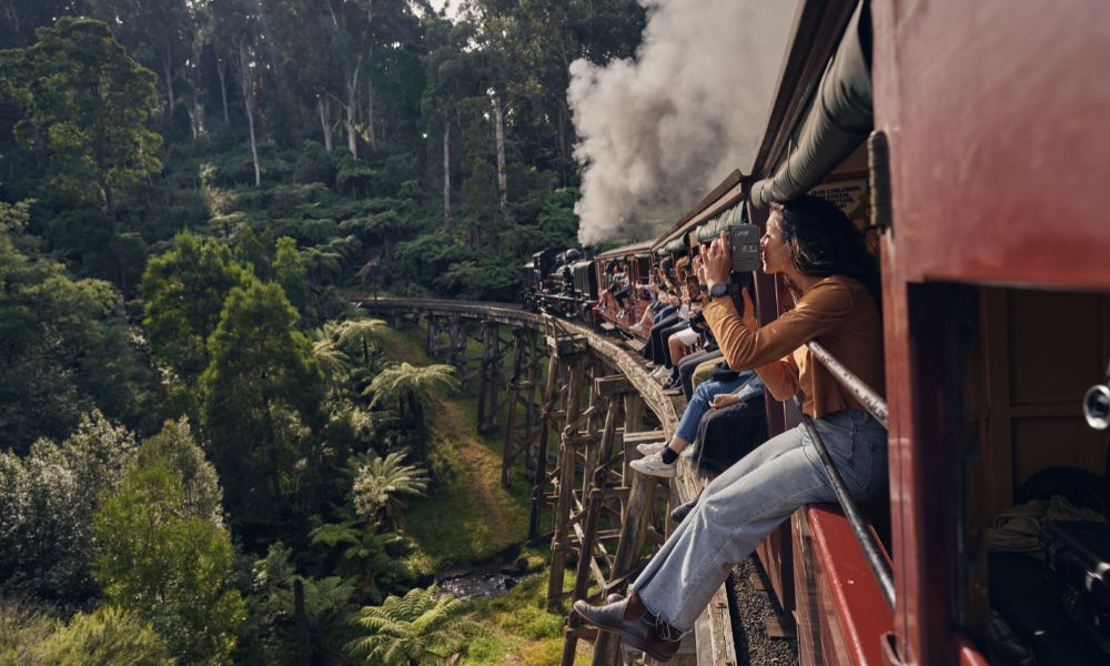 Puffing Billy & Wildlife Tour from Melbourne